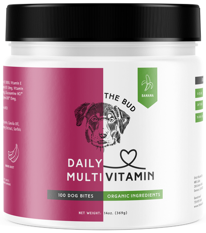Multivitamin Banana  Dog Bites